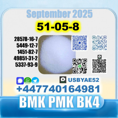 Procaine hcl 51-05-8 bmk bk4/2b4m source factory safe delivery
