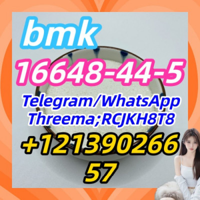 16648-44-5bmk