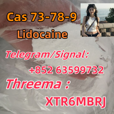 73-78-9 Lidocaine Hydrochloride