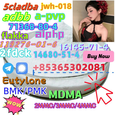 Do you want to buyBMK/PMKpowder?