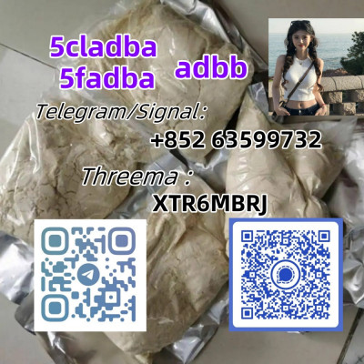 High quality and fast delivery of 5-Bromo-1-pentene CAS 1119-51-3