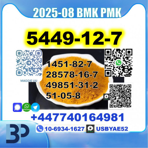 BMK glycidic acid 5449-12-7 PMK Source factory