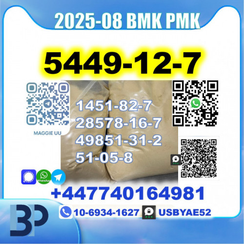 BMK glycidic acid 5449-12-7 PMK Source factory