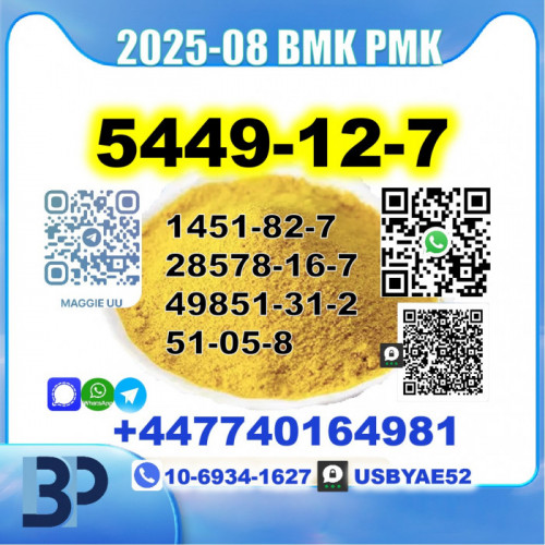 BMK glycidic acid 5449-12-7 PMK Source factory