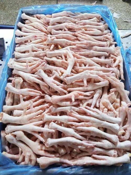 Wholesale Suppliers Premium Quality Halal Frozen Chicken Feet