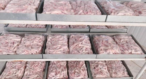 Wholesale Suppliers Premium Quality Halal Frozen Chicken Feet