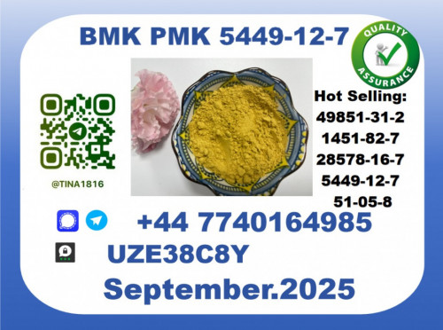 Pharmaceutical BMK PMK,5449-12-7 Chemical raw materials