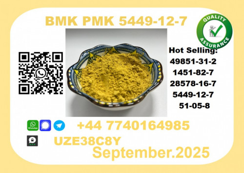 CAS 5449-12-7 BMK PMK,Certified Factory Supply