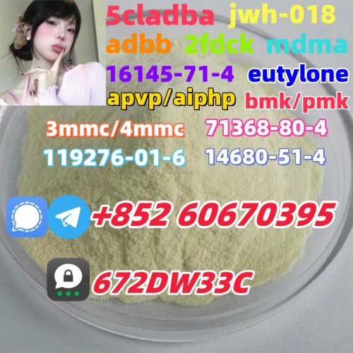 Safe delivery CAS 119276-01-6 China factory