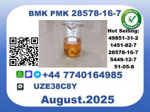 CAS 28578-16-7 BMK PMK Certified Factory Supply