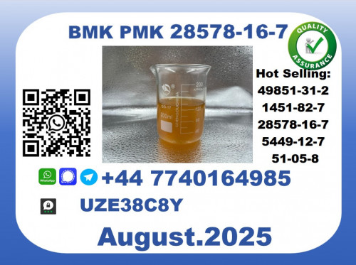 CAS 28578-16-7 BMK PMK Certified Factory Supply