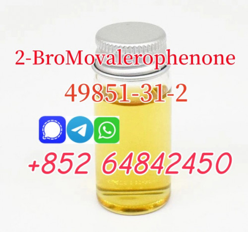 High purity of 49851-31-2 2-BroMovalerophenone safe deliver to russia