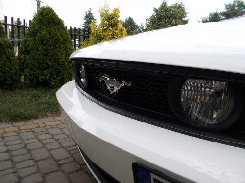 Ford Mustang V GT 5.0 PREMIUM
