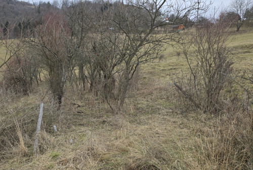 Fenomenalna lokata kapitału w Szczawnicy