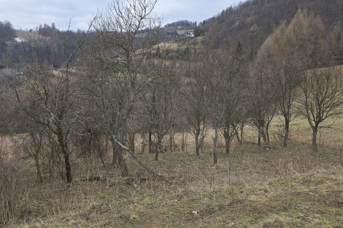 Fenomenalna lokata kapitału w Szczawnicy
