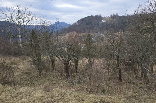 Fenomenalna lokata kapitału w Szczawnicy