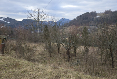 Fenomenalna lokata kapitału w Szczawnicy