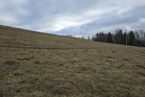 Fenomenalna lokata kapitału w Szczawnicy