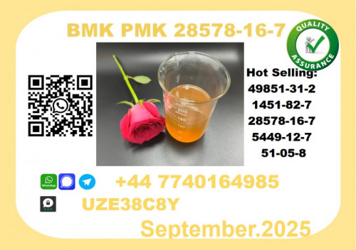 CAS 28578-16-7 BMK PMK Certified Factory Supply