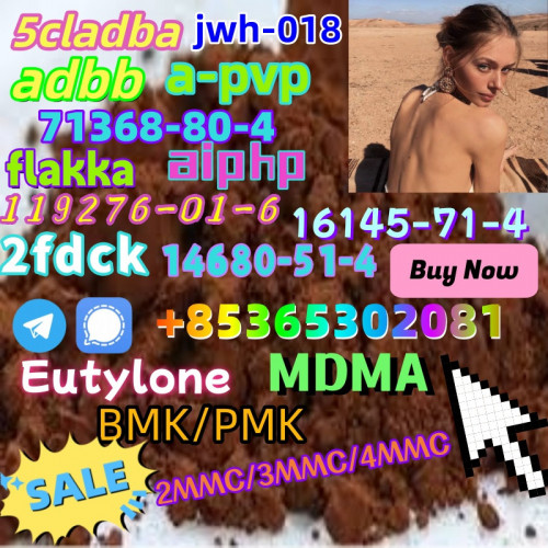 Hot sell product CAS119276-01-6 good quality