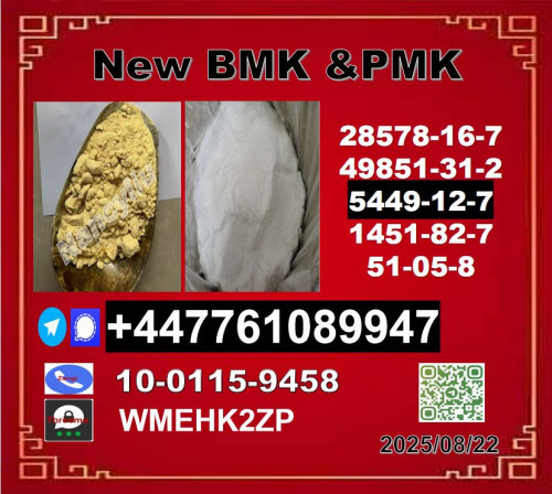 New B.M.K 5449-12-7 P.M.K Powder 28578-16-7 Wholesale Supply
