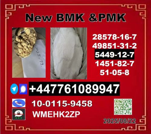 New B.M.K 5449-12-7 P.M.K Powder 28578-16-7 Wholesale Supply
