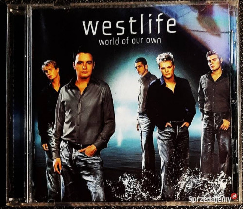 Polecam Wspaniały Album CD SEAL- Album – Human Being