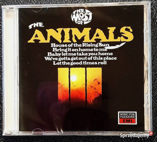 Polecam Kultowy Album CD The BEACH BOYS 20 Great Love Songs CD