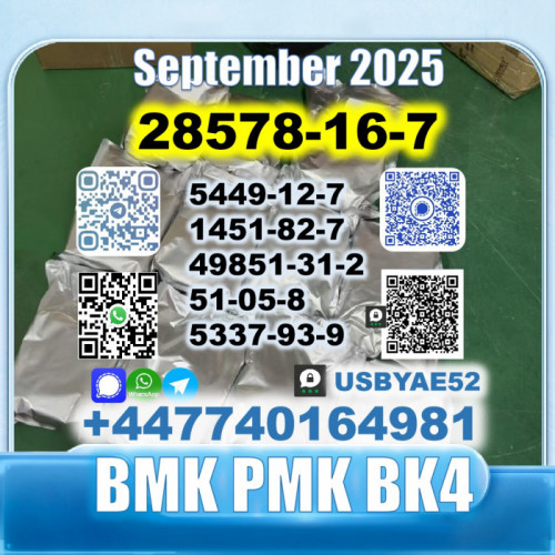 28578-16-7 PMK BMK BK4/2b4m BVF 49851-31-2 factory safe delivery