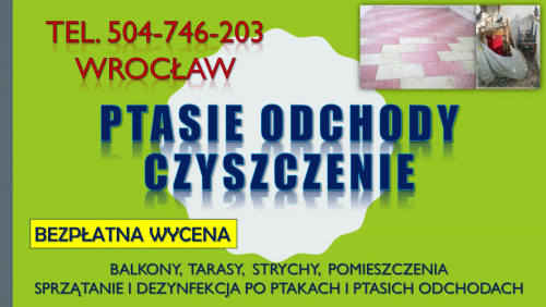 Ptasie odchody sprzątanie, Wrocław, tel. 504-746-203. Czyszczenie cena