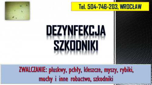 Rybiki zwalczanie, tel. 504-746-203, dezynfekcja rybików, dezynfekcja