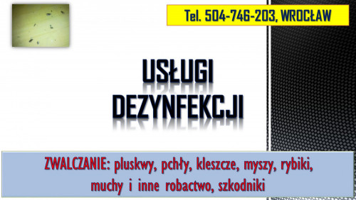 Rybiki zwalczanie, tel. 504-746-203, dezynfekcja rybików, dezynfekcja