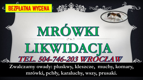 Likwidacja mrówki faraona cena tel. 504-746-203, Wrocław. Dezynfekcja