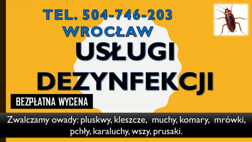 Dezynfekcja na prusaki tel. 504-746-203, we Wrocławiu, mrówki, cena