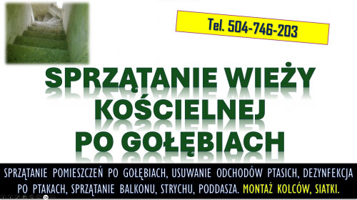 Sprzątanie po gołębiach. Tel. 504-746-203. Ptasich odchodów, cennik