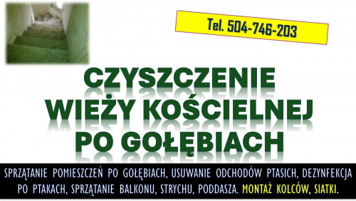 Sprzątanie po gołębiach. Tel. 504-746-203. Ptasich odchodów, cennik