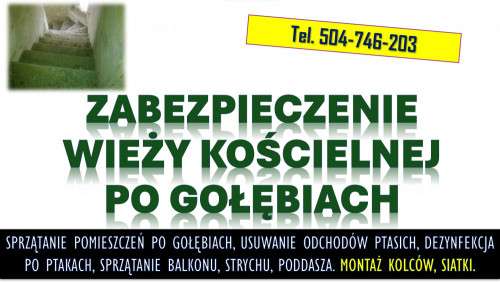 Sprzątanie po gołębiach. Tel. 504-746-203. Ptasich odchodów, cennik