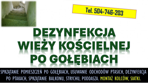 Sprzątanie po gołębiach. Tel. 504-746-203. Ptasich odchodów, cennik