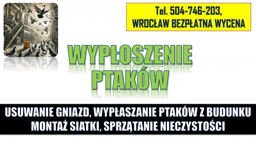 Wypłaszanie gołębi, zwalczanie gołębi, tel. 504-746-203, usuwanie