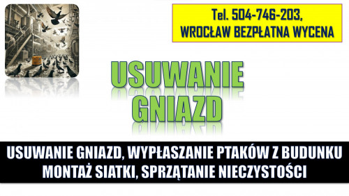 Wypłaszanie gołębi, zwalczanie gołębi, tel. 504-746-203, usuwanie