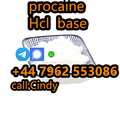 selling Procaine base CAS 59-46-1 /51-05-8 / procaine hcl and base sal