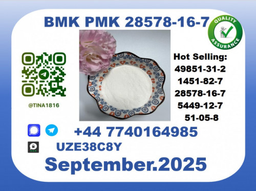 CAS 28578-16-7 BMK PMK Certified Factory Supply
