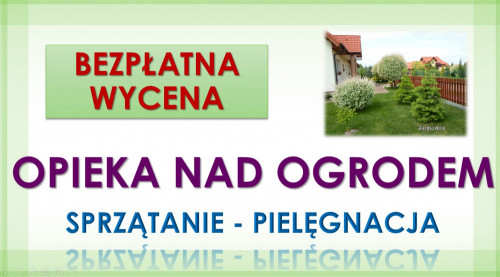 Porządkowanie działek, Wrocław. Tel. 504-746-203, sprzątanie ogródka