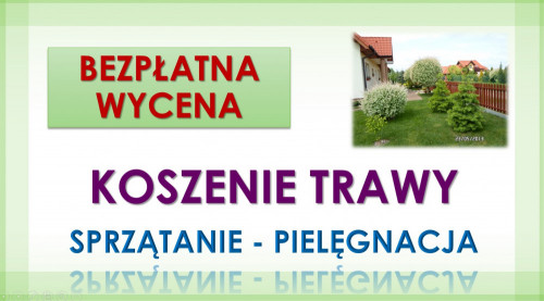 Porządkowanie działek, Wrocław. Tel. 504-746-203, sprzątanie ogródka