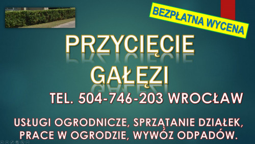 Obcięcie żywopłotu, t 504746203, Wrocław, cena.  Skrócenie, przycięcie