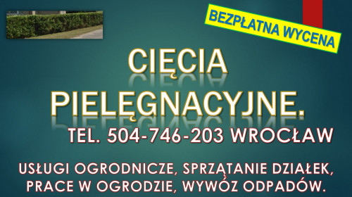 Obcięcie żywopłotu, t 504746203, Wrocław, cena.  Skrócenie, przycięcie