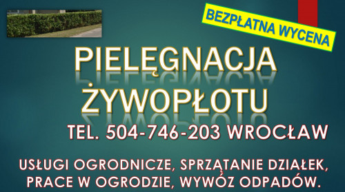 Obcięcie żywopłotu, t 504746203, Wrocław, cena.  Skrócenie, przycięcie