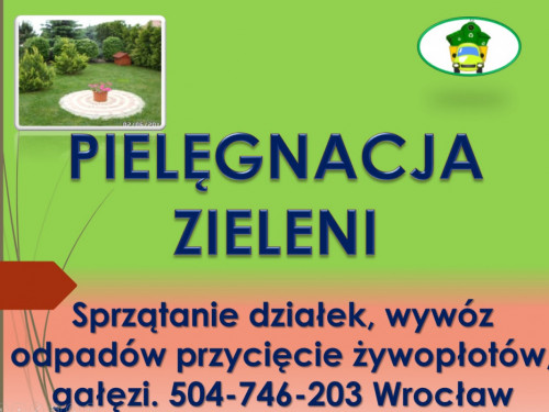 Posadzenie tui, tuje, sadzenie, tel 504-746-203, roślin, Wrocław, cena