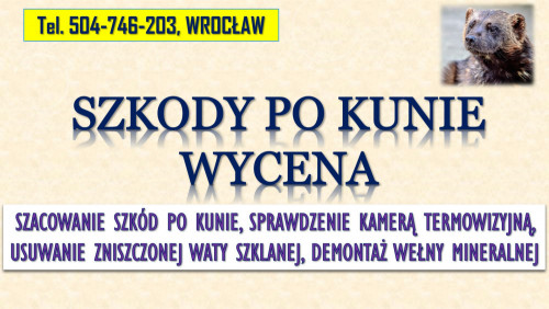 Usługi ogrodnicze