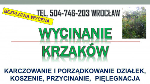 Wycinanie krzaków, cena, tel 504-746-203. Karczowanie zarośli, Wrocław